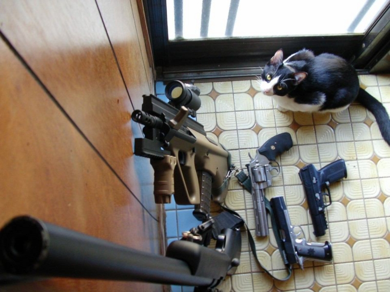 f:id:emija:20140630222659j:plain f:id:emija:20140630222659j:plain