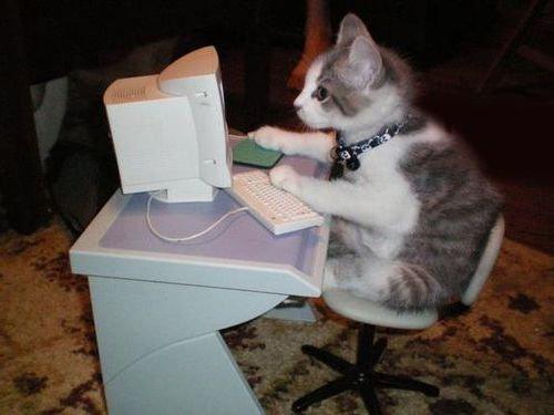 f:id:emija:20140701183532j:plain f:id:emija:20140701183532j:plain