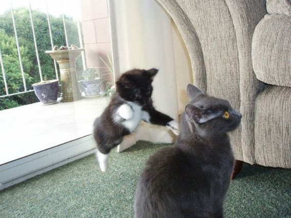 f:id:emija:20140718195440j:plain