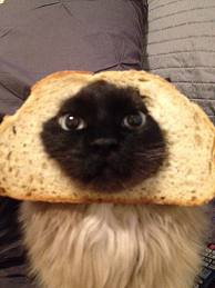 f:id:emija:20140726185312j:plain