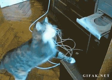 f:id:emija:20140804201008g:plain f:id:emija:20140804201008g:plain