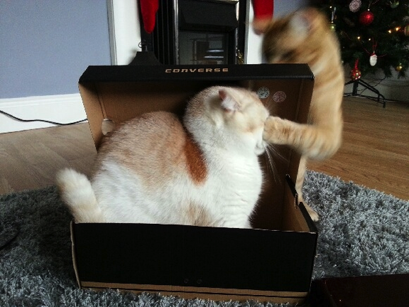 f:id:emija:20140804201958p:plain f:id:emija:20140804201958p:plain