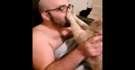 f:id:emija:20140820170851p:plain