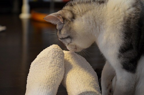 f:id:emija:20140820171307j:plain