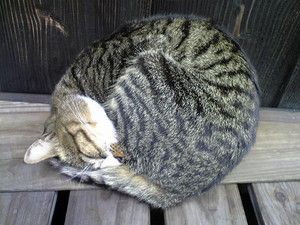 f:id:emija:20140910170534j:plain