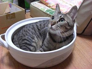 f:id:emija:20140910170538j:plain