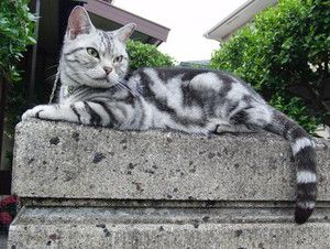 f:id:emija:20140910170714j:plain