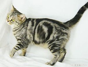 f:id:emija:20140910170916j:plain