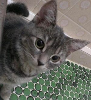 f:id:emija:20140910171229j:plain