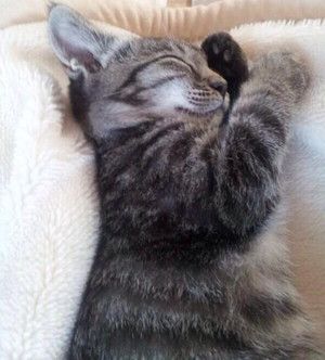 f:id:emija:20140910171442j:plain