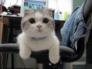 f:id:emija:20140914143811j:plain f:id:emija:20140914143811j:plain
