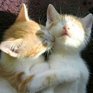 f:id:emija:20140916163519j:plain