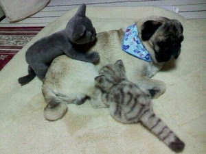 f:id:emija:20140918184025j:plain