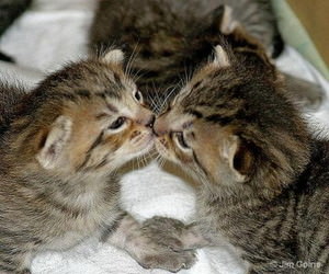 f:id:emija:20141006190338j:plain