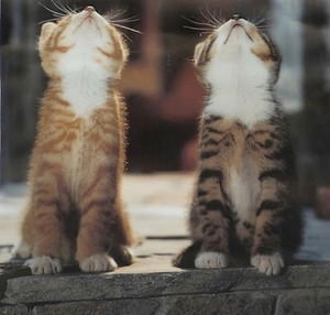 f:id:emija:20141006190352j:plain