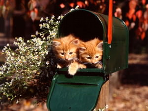 f:id:emija:20141006190518j:plain