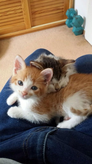 f:id:emija:20141006190530j:plain