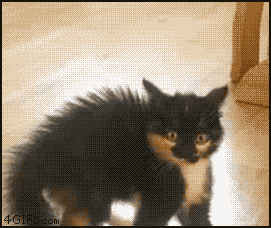 f:id:emija:20141204195955g:plain