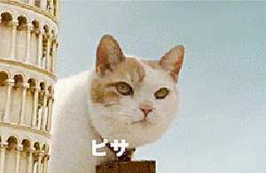 f:id:emija:20141208200316j:plain f:id:emija:20141208200316j:plain