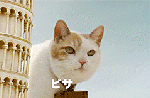 f:id:emija:20141208200534g:plain f:id:emija:20141208200534g:plain