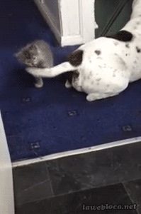 f:id:emija:20150216200654j:plain f:id:emija:20150216200654j:plain