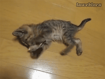 f:id:emija:20150216200845g:plain f:id:emija:20150216200845g:plain