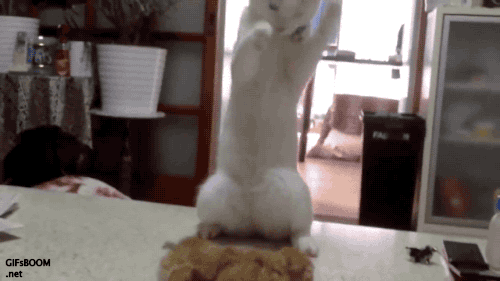 f:id:emija:20150302203050g:plain