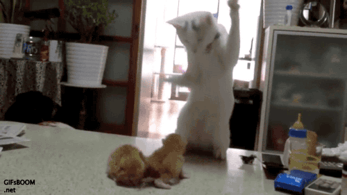 f:id:emija:20150302203143g:plain