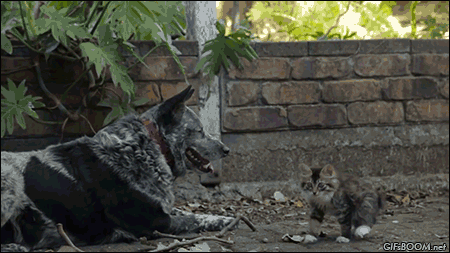 f:id:emija:20150316202339g:plain f:id:emija:20150316202339g:plain