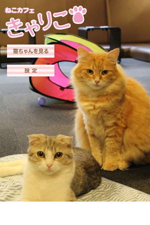 f:id:emija:20150317200134j:plain