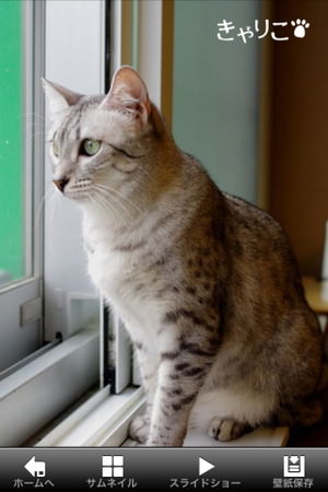 f:id:emija:20150317200401j:plain