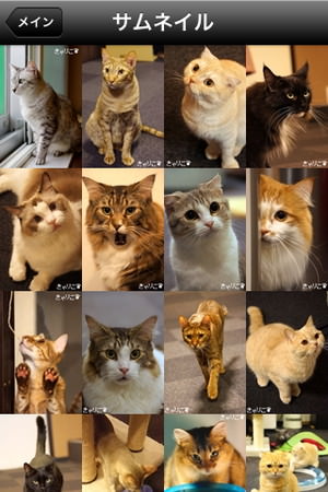 f:id:emija:20150317200523j:plain