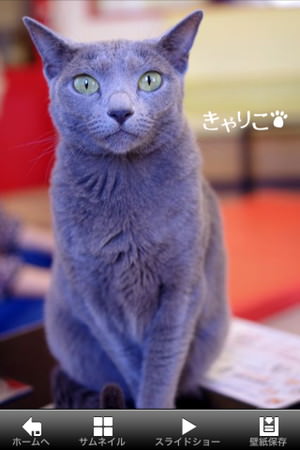 f:id:emija:20150317200629j:plain