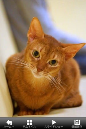 f:id:emija:20150317200645j:plain