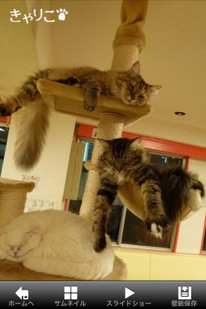 f:id:emija:20150317200809j:plain