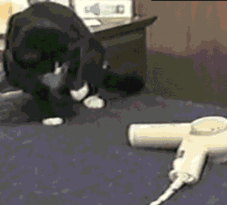 f:id:emija:20150507202333g:plain