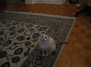 f:id:emija:20150507202522g:plain