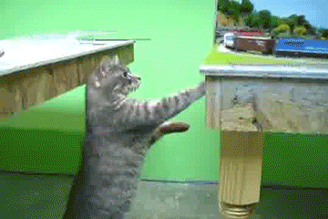 f:id:emija:20150507202716g:plain