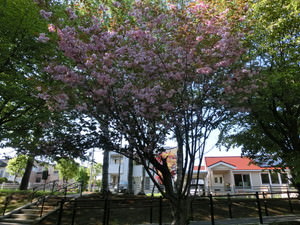 f:id:emija:20150517153422j:plain