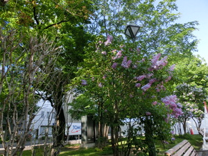 f:id:emija:20150518160016j:plain f:id:emija:20150518160016j:plain