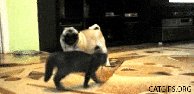 f:id:emija:20150518210230g:plain f:id:emija:20150518210230g:plain