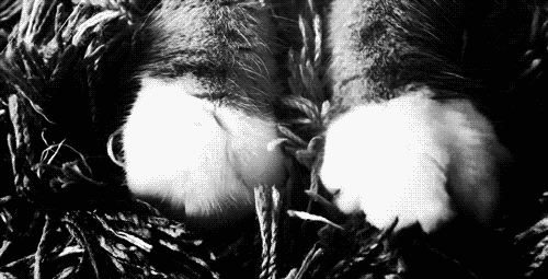 f:id:emija:20150525214240g:plain