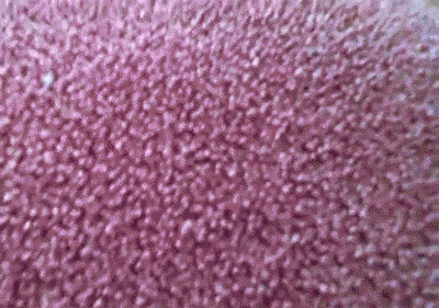 f:id:emija:20150525214408g:plain