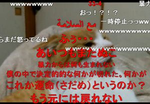 f:id:emija:20151108213416j:plain