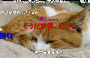 f:id:emija:20151108214212j:plain