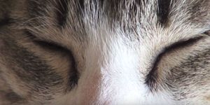 f:id:emija:20160401201248j:plain