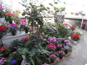 f:id:emija:20170128103631j:plain