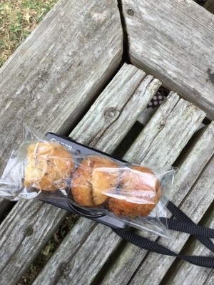 f:id:emija:20170131120537j:plain