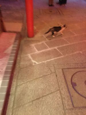 f:id:emija:20170227124317j:plain