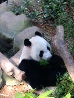 f:id:emike:20160708134338j:plain